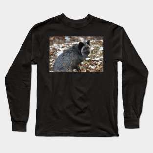 Fox Long Sleeve T-Shirt